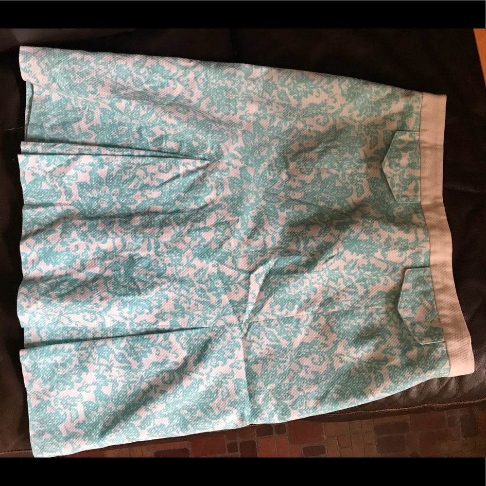 Blue and White Skirt